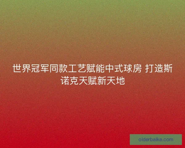 世界冠军同款工艺赋能中式球房 打造斯诺克天赋新天地